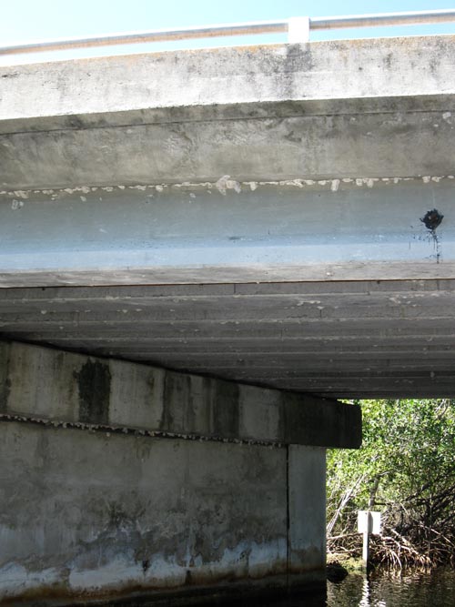 Buttonwood Canal, Whitewater Bay Backcountry Boat Tour, Everglades National Park, Florida
