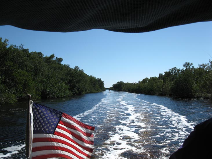 Buttonwood Canal, Whitewater Bay Backcountry Boat Tour, Everglades National Park, Florida