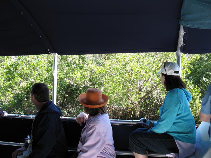 Buttonwood Canal, Whitewater Bay Backcountry Boat Tour, Everglades National Park, Florida