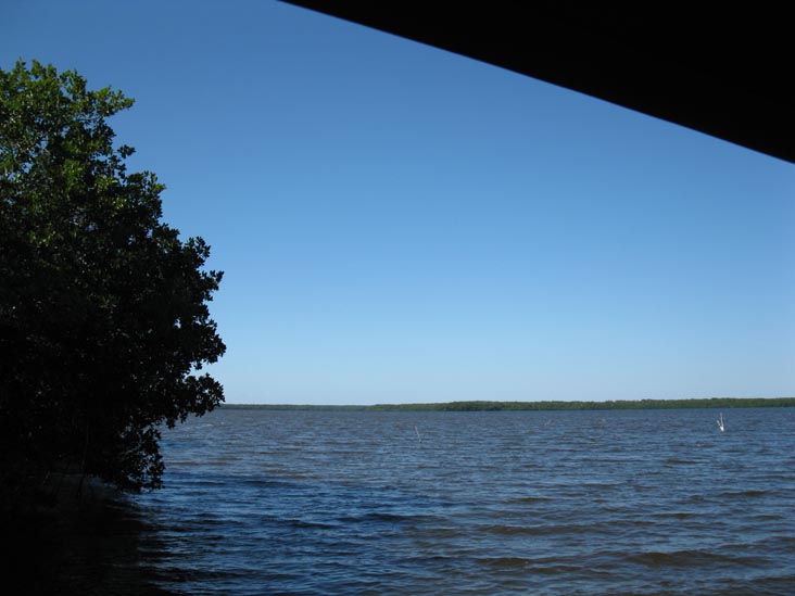 Coot Bay, Whitewater Bay Backcountry Boat Tour, Everglades National Park, Florida