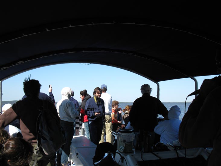 Coot Bay, Whitewater Bay Backcountry Boat Tour, Everglades National Park, Florida