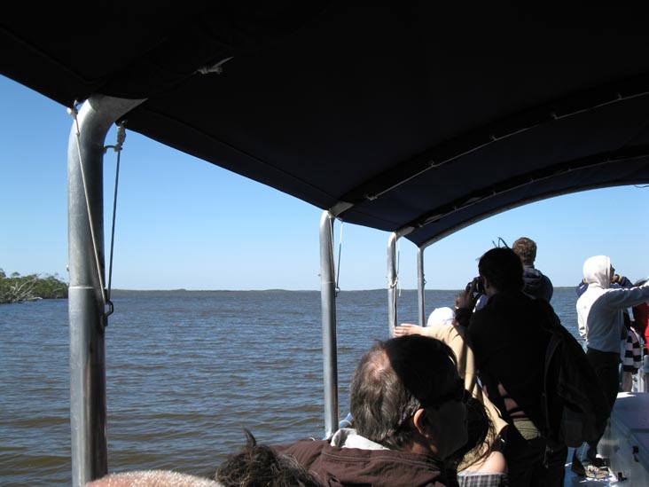 Coot Bay, Whitewater Bay Backcountry Boat Tour, Everglades National Park, Florida