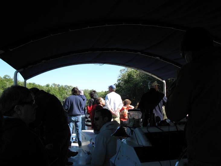 Buttonwood Canal, Whitewater Bay Backcountry Boat Tour, Everglades National Park, Florida