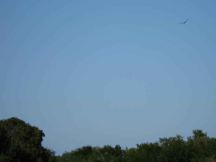 View From Marina Area, Flamingo, Everglades National Park, Florida