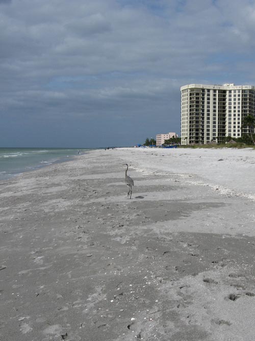 Longboat Key Beach, Longboat Key, Florida, November 8, 2009