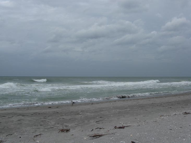 Longboat Key Beach, Longboat Key, Florida, November 9, 2009