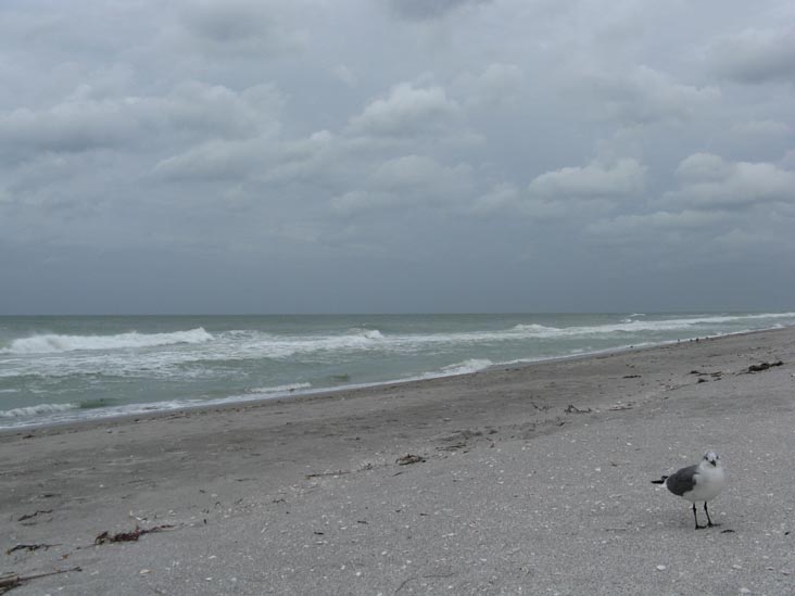 Longboat Key Beach, Longboat Key, Florida, November 9, 2009