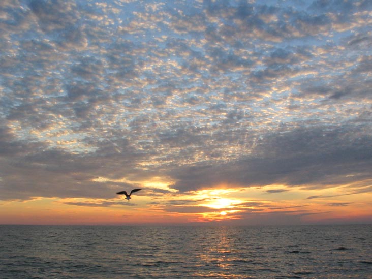 Sunset, Beach, Longboat Key, Florida, November 11, 2006, 5:28 p.m.