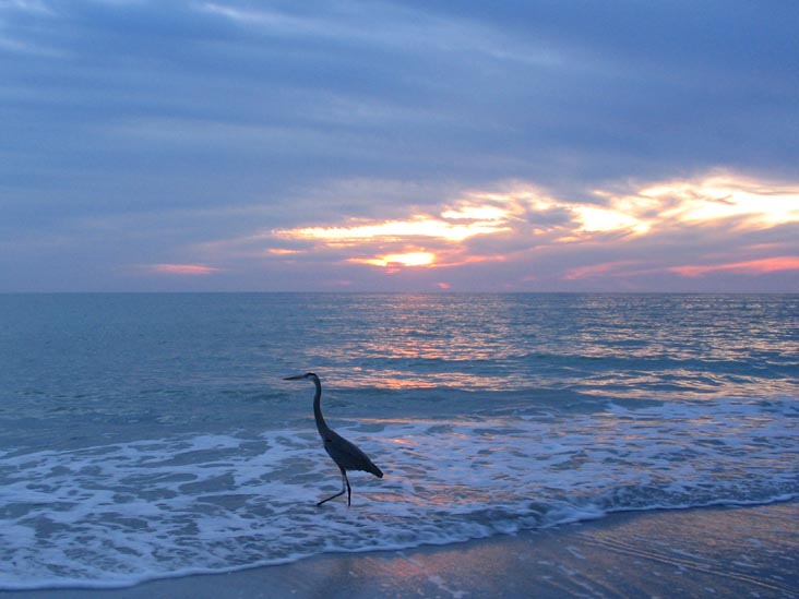 Sunset From Four Winds Beach Resort, Longboat Key, Florida, November 10, 2006, 5:33 p.m.