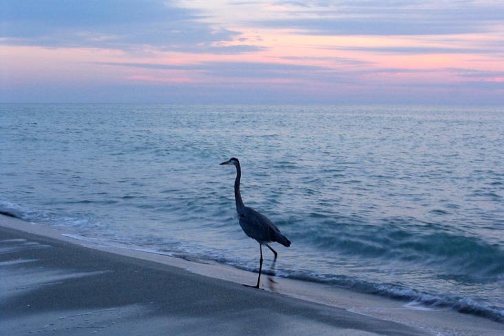 Sunset From Four Winds Beach Resort, Longboat Key, Florida, November 10, 2006, 5:34 p.m.