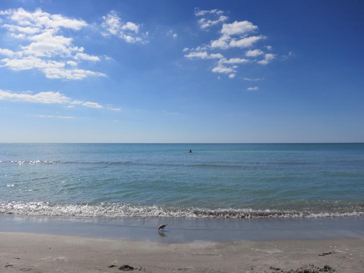Beach, Four Winds Beach Resort, 2605 Gulf of Mexico Drive, Longboat Key, Florida, November 10, 2012
