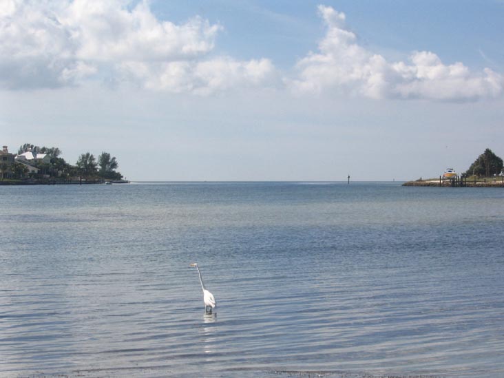 New Pass, Longboat Key, Florida