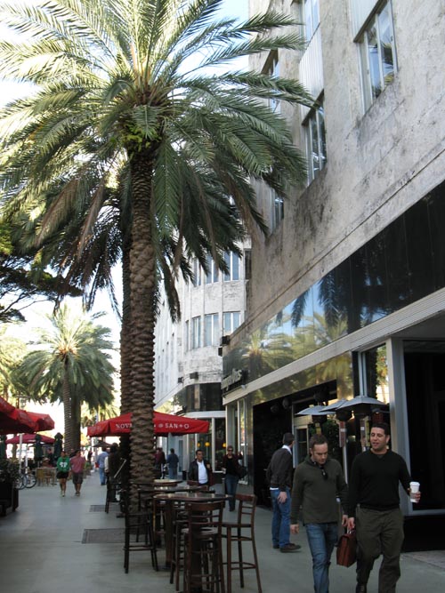 South Side of Lincoln Road Between Drexel and Washington Avenues, South Beach, Miami, Florida