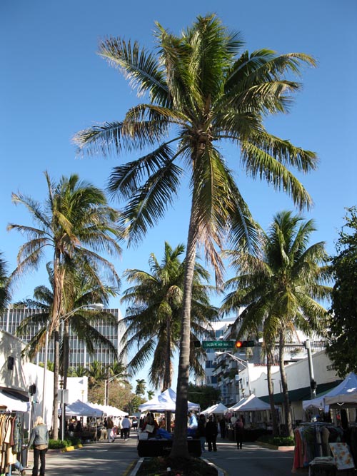 Looking North Up Michigan Avenue From Lincoln Road, South Beach, Miami, Florida