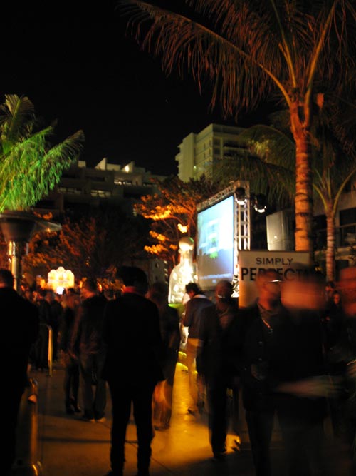 Patron Party, South Beach Wine & Food Festival, W South Beach, Miami Beach, Florida, February 25, 2010