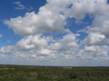 Myakka River State Park from Tower, Sarasota County, Florida