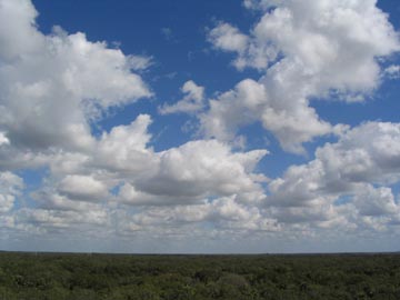 Myakka River State Park from Tower, Sarasota County, Florida