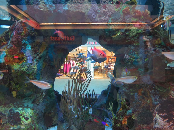 Sarasota-Bradenton International Airport, Sarasota, Florida, November 11, 2012