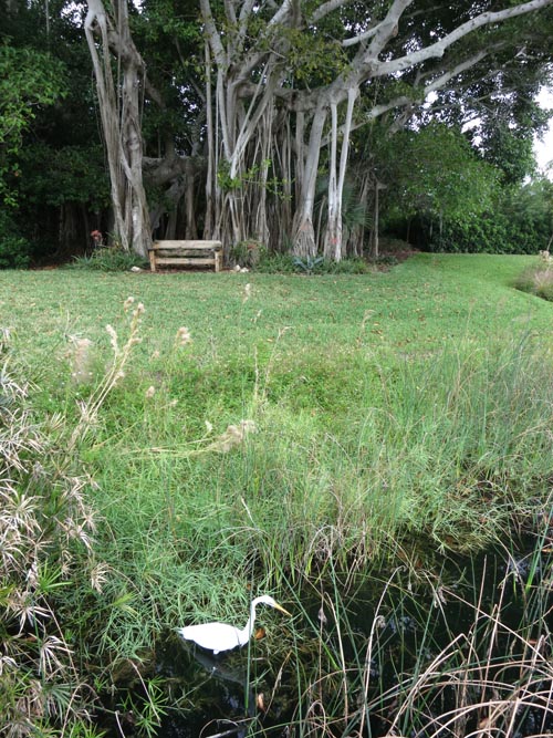 The Ringling, Sarasota, Florida, November 7, 2013