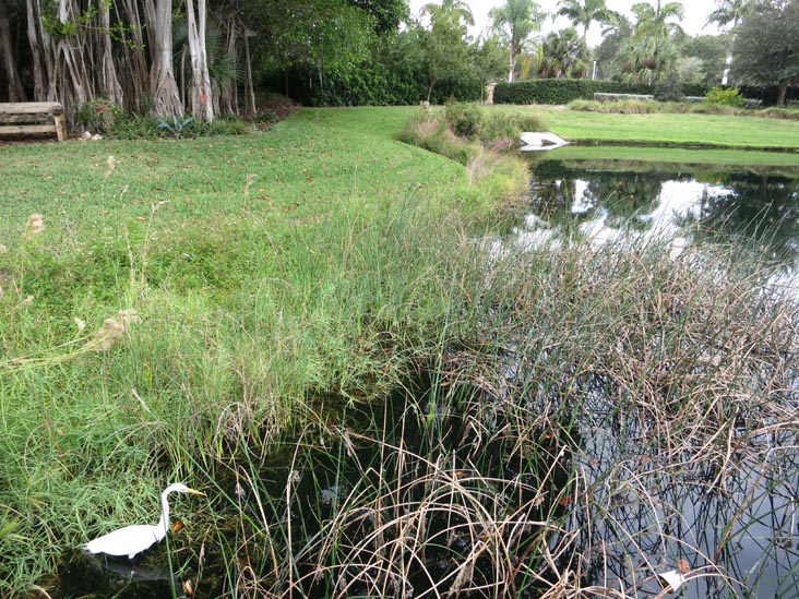 The Ringling, Sarasota, Florida, November 7, 2013