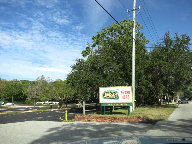 Sarasota Jungle Gardens, 3701 Bay Shore Road, Sarasota, Florida, November 7, 2013