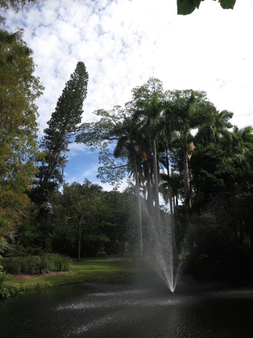 Crystal Lake, Sarasota Jungle Gardens, Sarasota, Florida, November 7, 2013