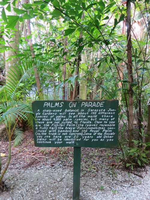 Sarasota Jungle Gardens, Sarasota, Florida, November 7, 2013