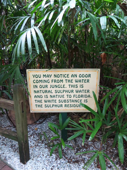 Sarasota Jungle Gardens, Sarasota, Florida, November 7, 2013