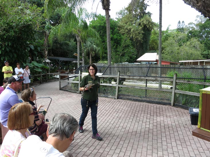 Reptile Encounter, Sarasota Jungle Gardens, Sarasota, Florida, November 7, 2013