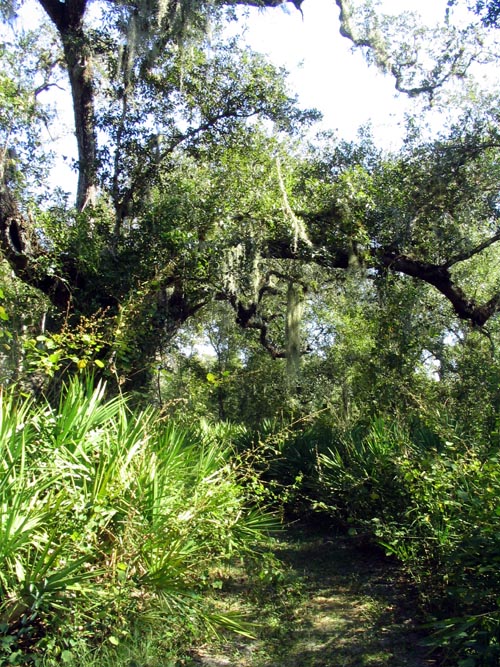 Nature Path, Solomon's Castle, 4533 Solomon Road, Ona, Florida, November 10, 2007