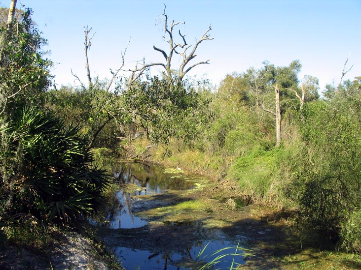 Nature Path, Solomon's Castle, 4533 Solomon Road, Ona, Florida, November 10, 2007