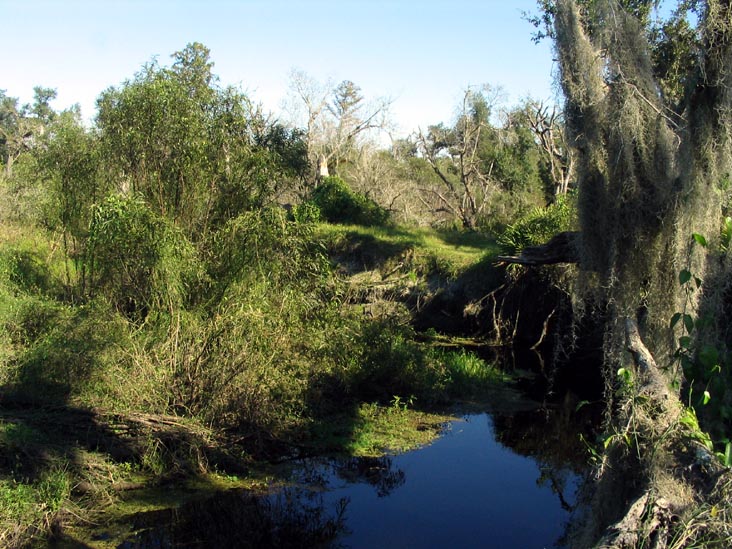 Nature Path, Solomon's Castle, 4533 Solomon Road, Ona, Florida, November 10, 2007
