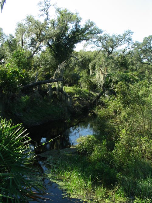 Nature Path, Solomon's Castle, 4533 Solomon Road, Ona, Florida, November 10, 2007