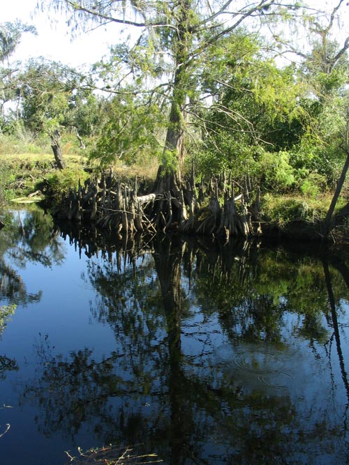 Nature Path, Solomon's Castle, 4533 Solomon Road, Ona, Florida, November 10, 2007