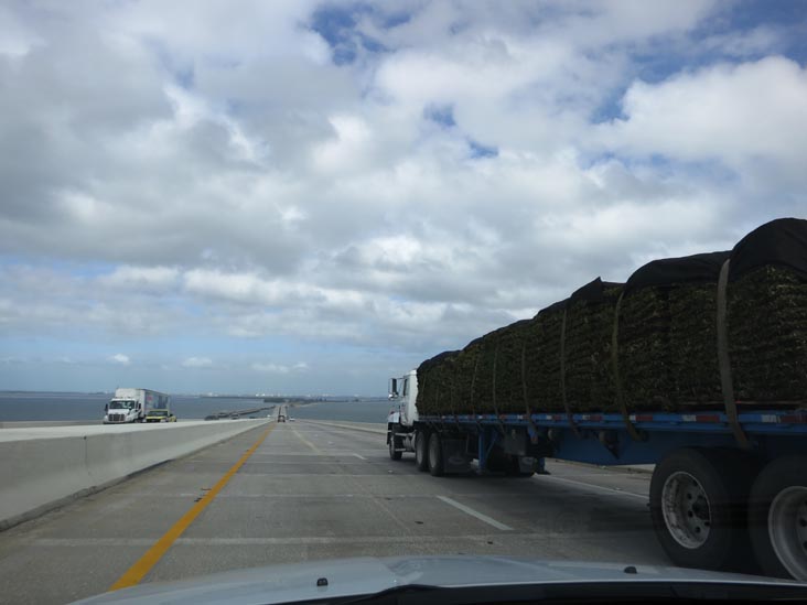 Sunshine Skyway Bridge, Tampa Bay, Florida, November 5, 2013