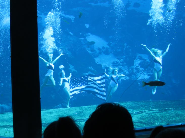 Fish Tails Mermaid Show, Weeki Wachee Springs State Park, Weeki Wachee, Florida, November 5, 2013