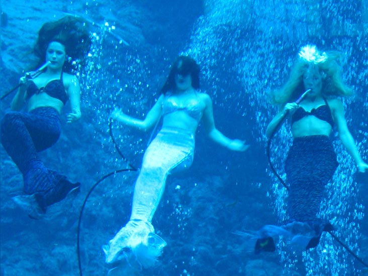 Mermaids, Weeki Wachee Springs, 6131 Commercial Way, Weeki Wachee, Florida, November 14, 2004