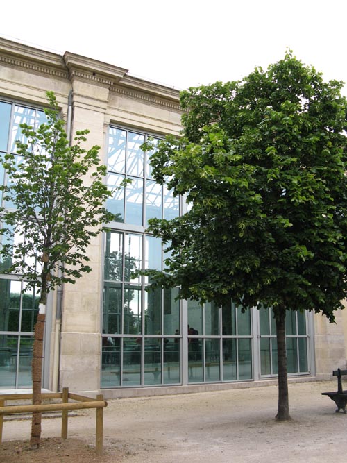Musée de l'Orangerie, Paris, France