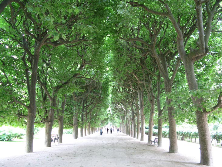 Jardin des Plantes, Muséum National d'Histoire Naturelle, 5e Arrondissement, Paris, France