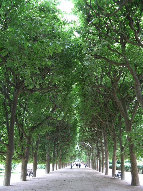 Jardin des Plantes, Muséum National d'Histoire Naturelle, 5e Arrondissement, Paris, France