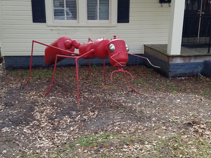 Fire Ant, 238 East College Avenue, Ashburn, Georgia, February 21, 2019