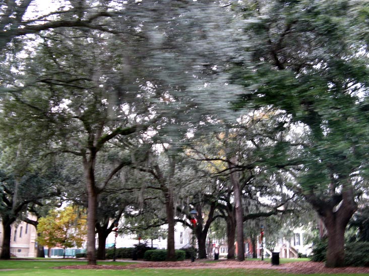 Calhoun Square, Savannah, Georgia