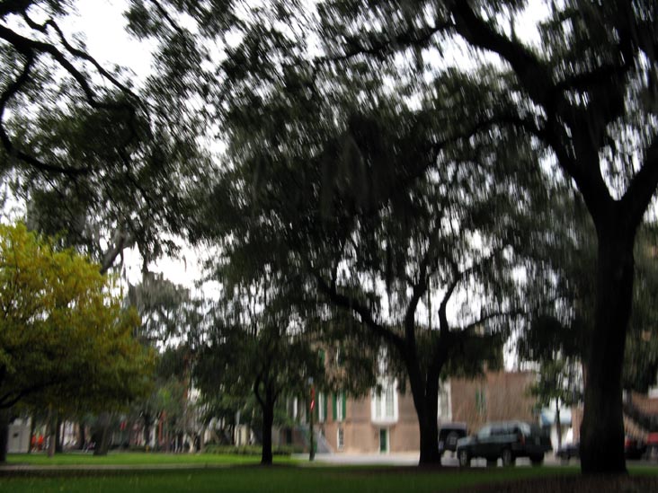 Looking Toward Taylor Street From Abercorn Street, Calhoun Square, Savannah, Georgia