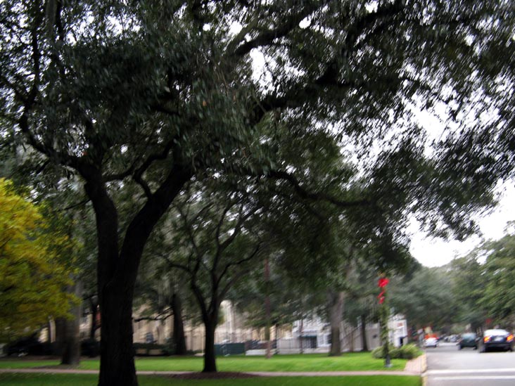 Looking Down Taylor Street From Abercorn Street, Calhoun Square, Savannah, Georgia