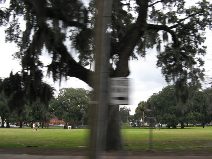 Forsyth Park From Whitaker Street, Savannah, Georgia