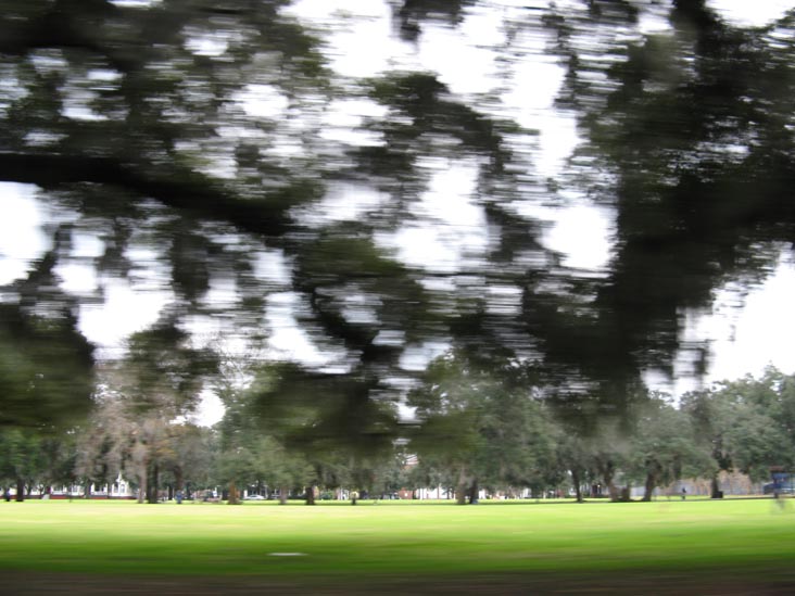 Forsyth Park From Whitaker Street, Savannah, Georgia