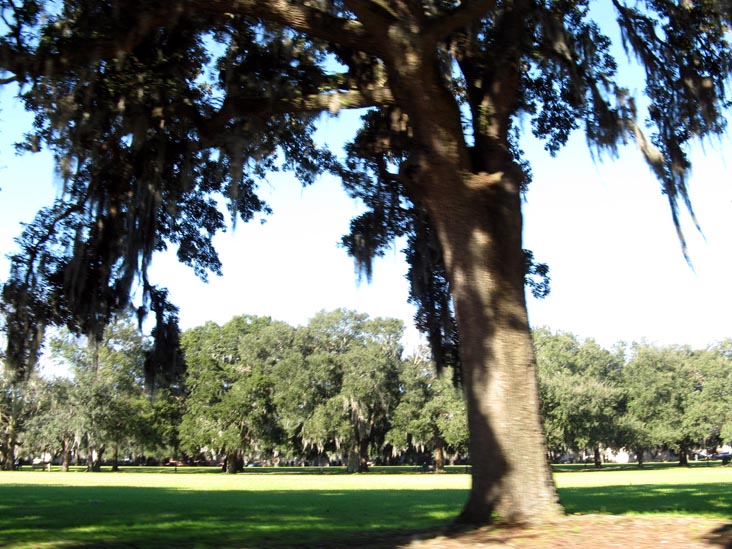 Forsyth Park From Drayton Street, Savannah, Georgia