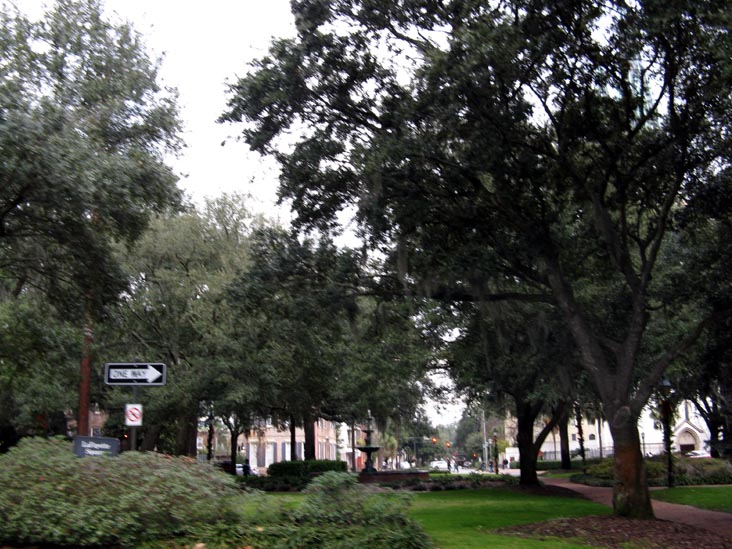 Lafayette Square From Abercorn Street and Charlton Street, Savannah, Georgia