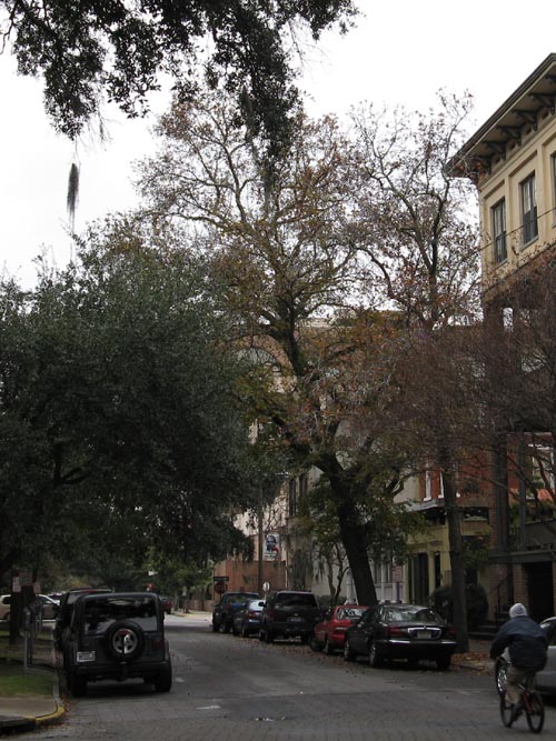 Pinkie Master's Lounge, 318 Drayton Street, Savannah, Georgia