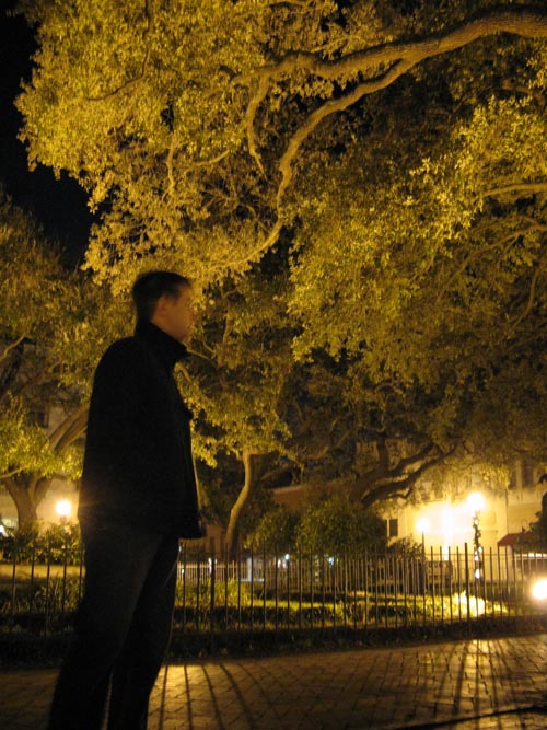 Savannah Ghosts Walking Tour, Wright Square Stop, Savannah, Georgia